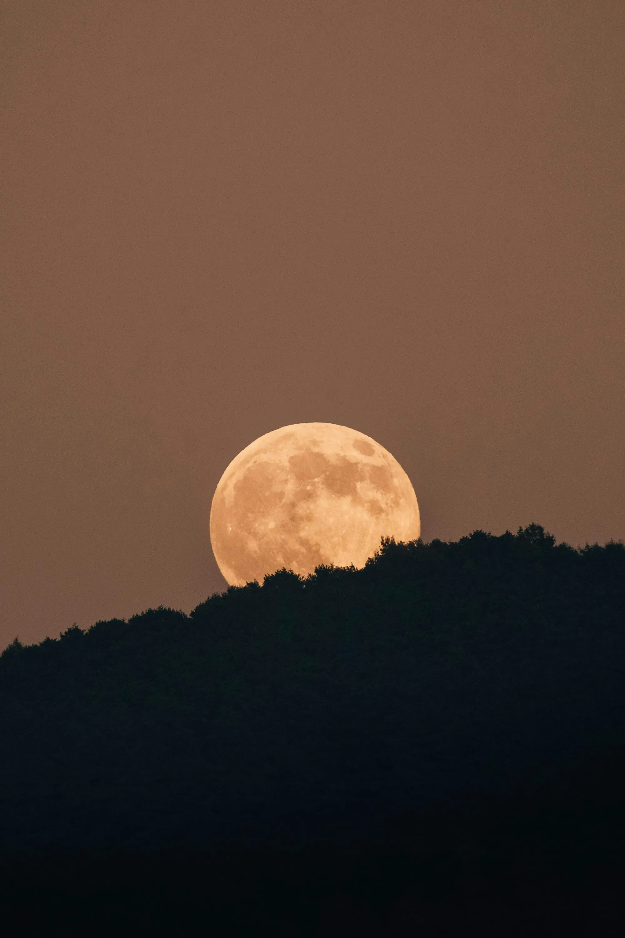 A full moon over a dark ridge