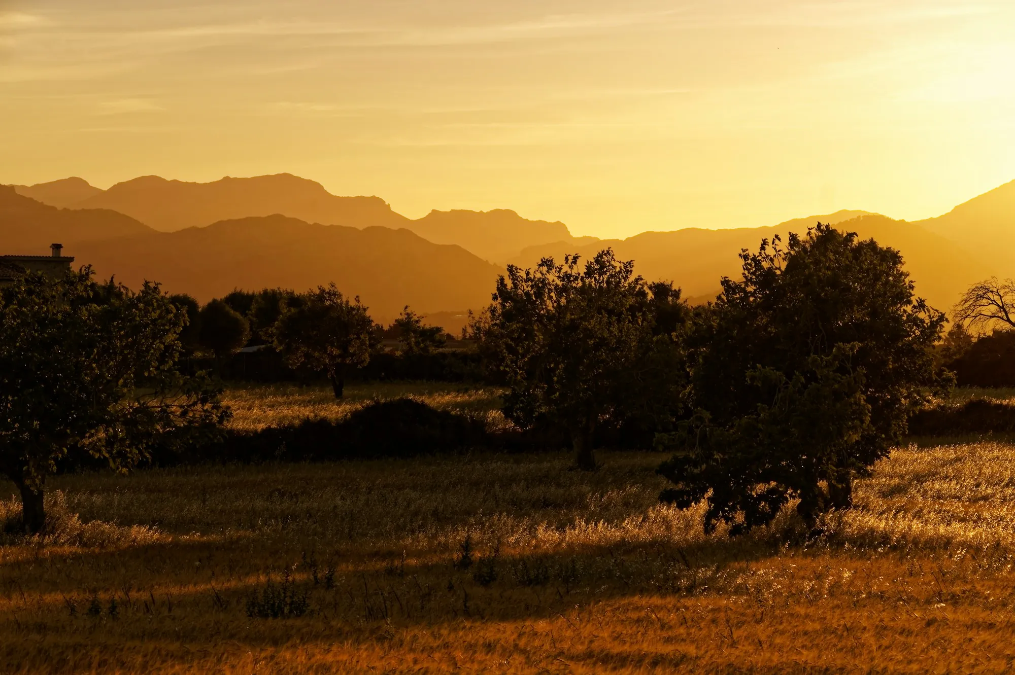 Fields and trees below mountains