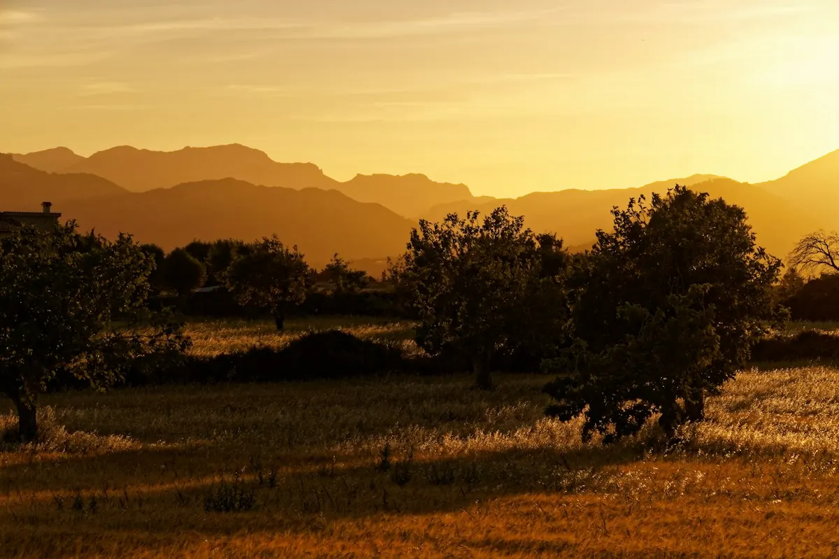 Fields and trees below mountains