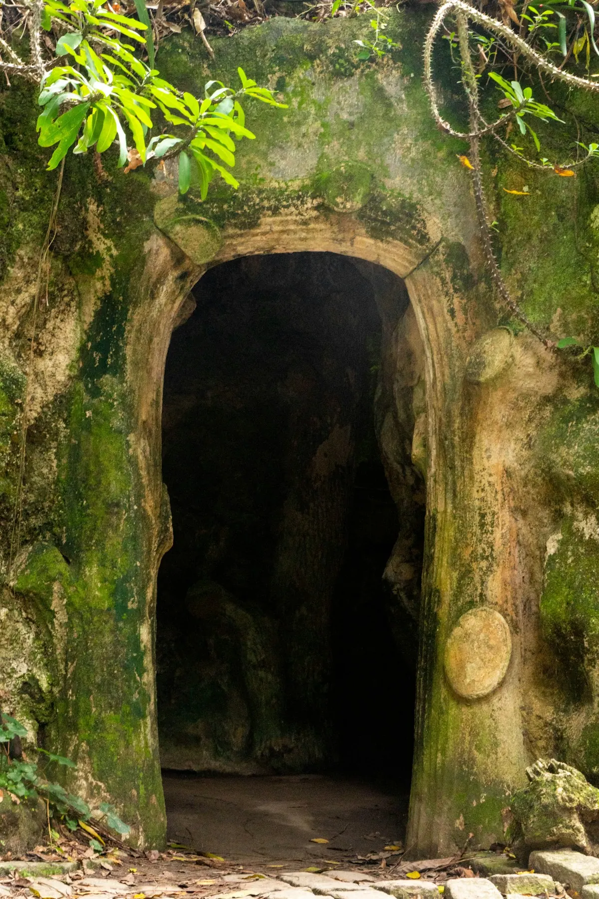 What I saw in the Cave of Montesinos